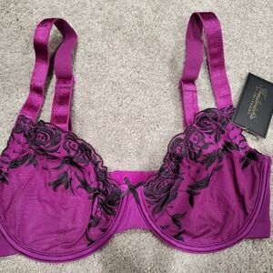 Fredricks Of Hollywood Elegant Purple Lace Bra